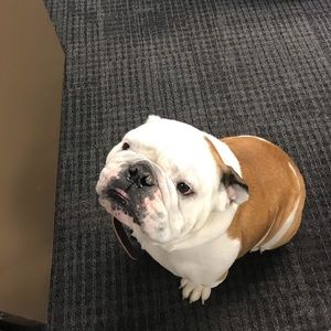 Meet your Posher, Andrea